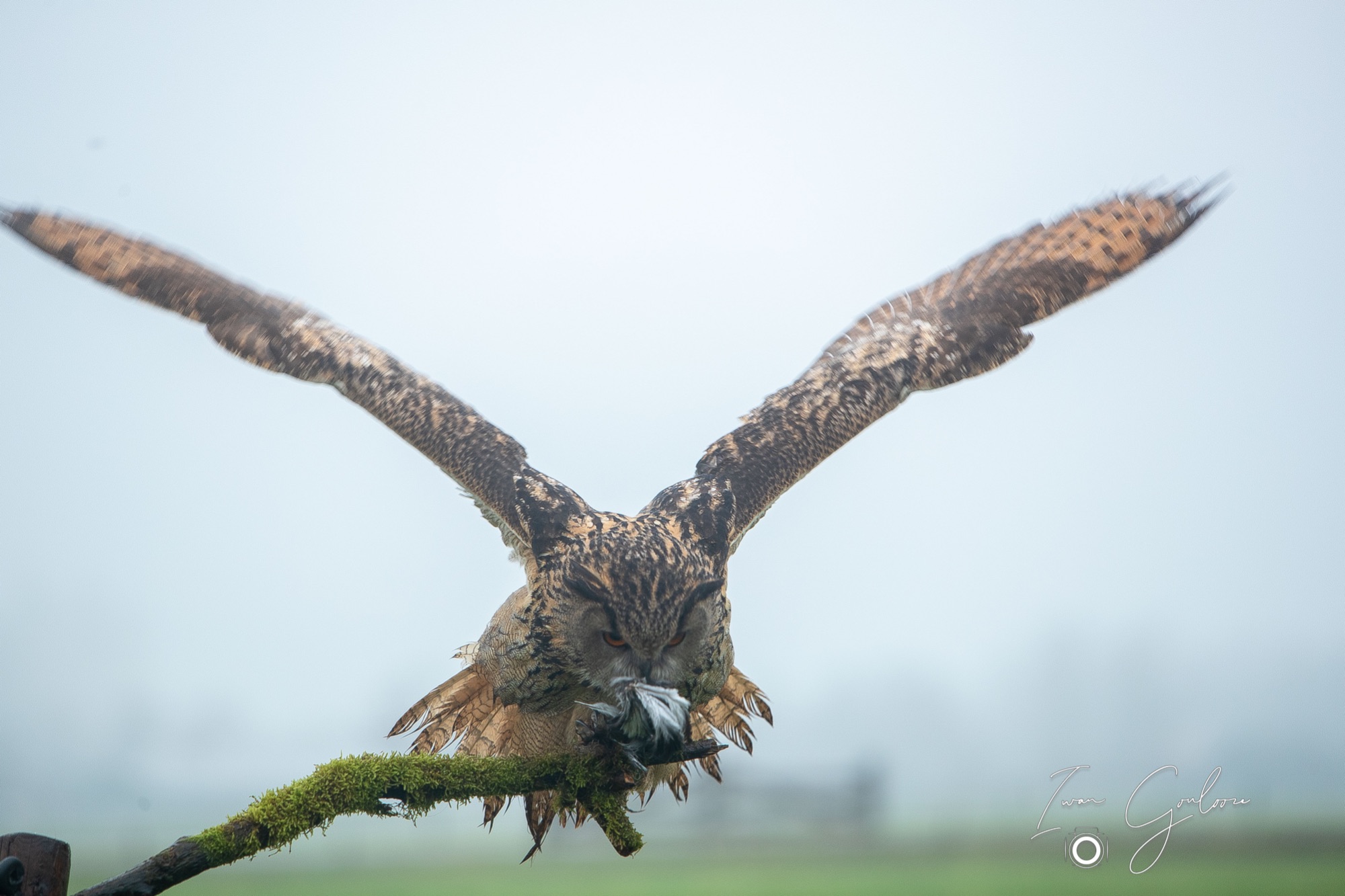 1DX46736 12 december 2021 1414 45